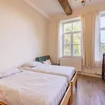 Cozy Comfort In