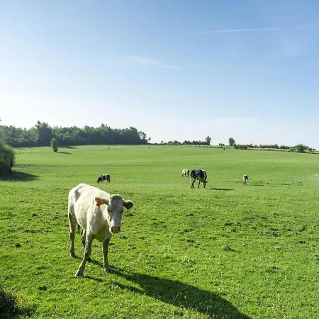 Cozy Comfort In Hébergement de vacances